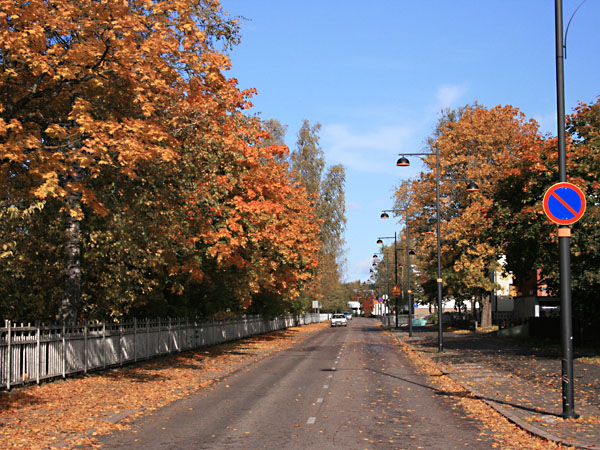 Hyvink&auml;&auml;nkatua